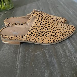 Original Collection Dr Scholls